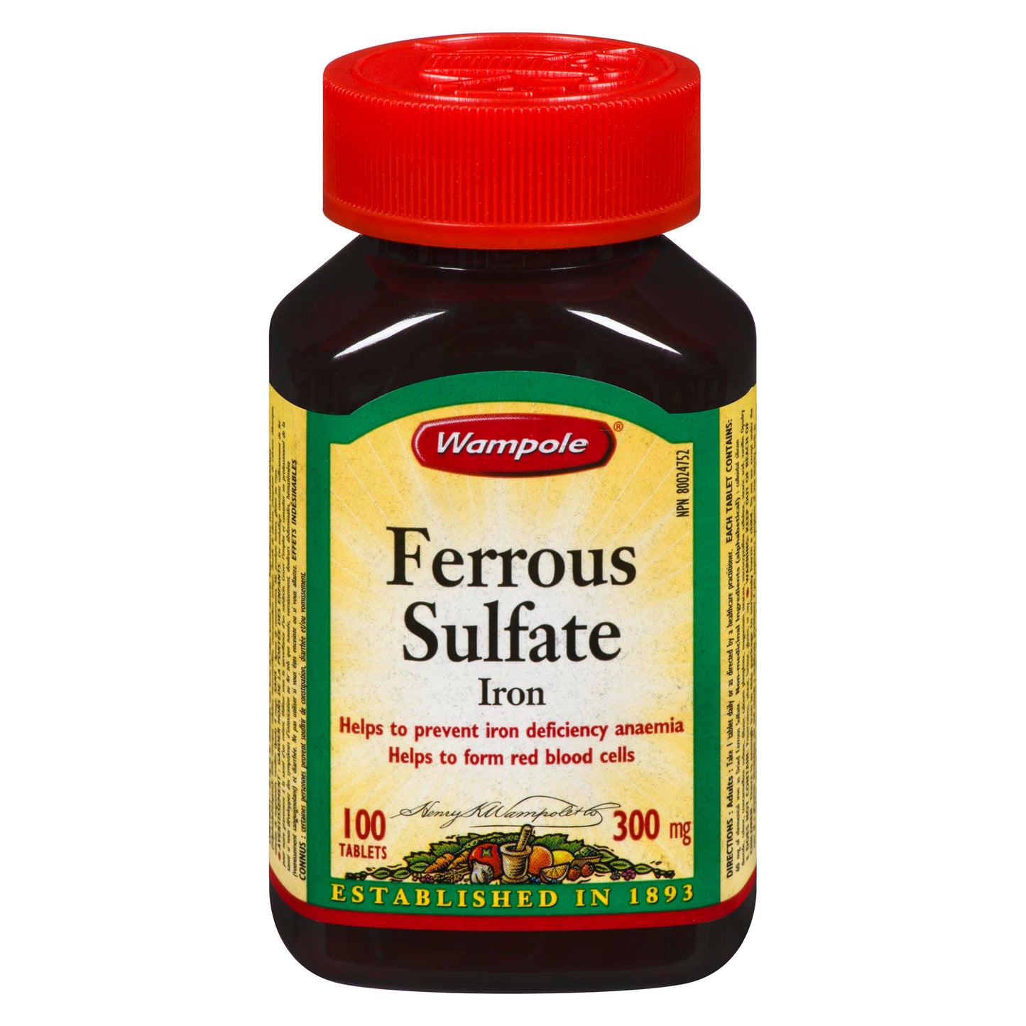 FERROUS SULFATE TB 300MG 100 WAMPOLE