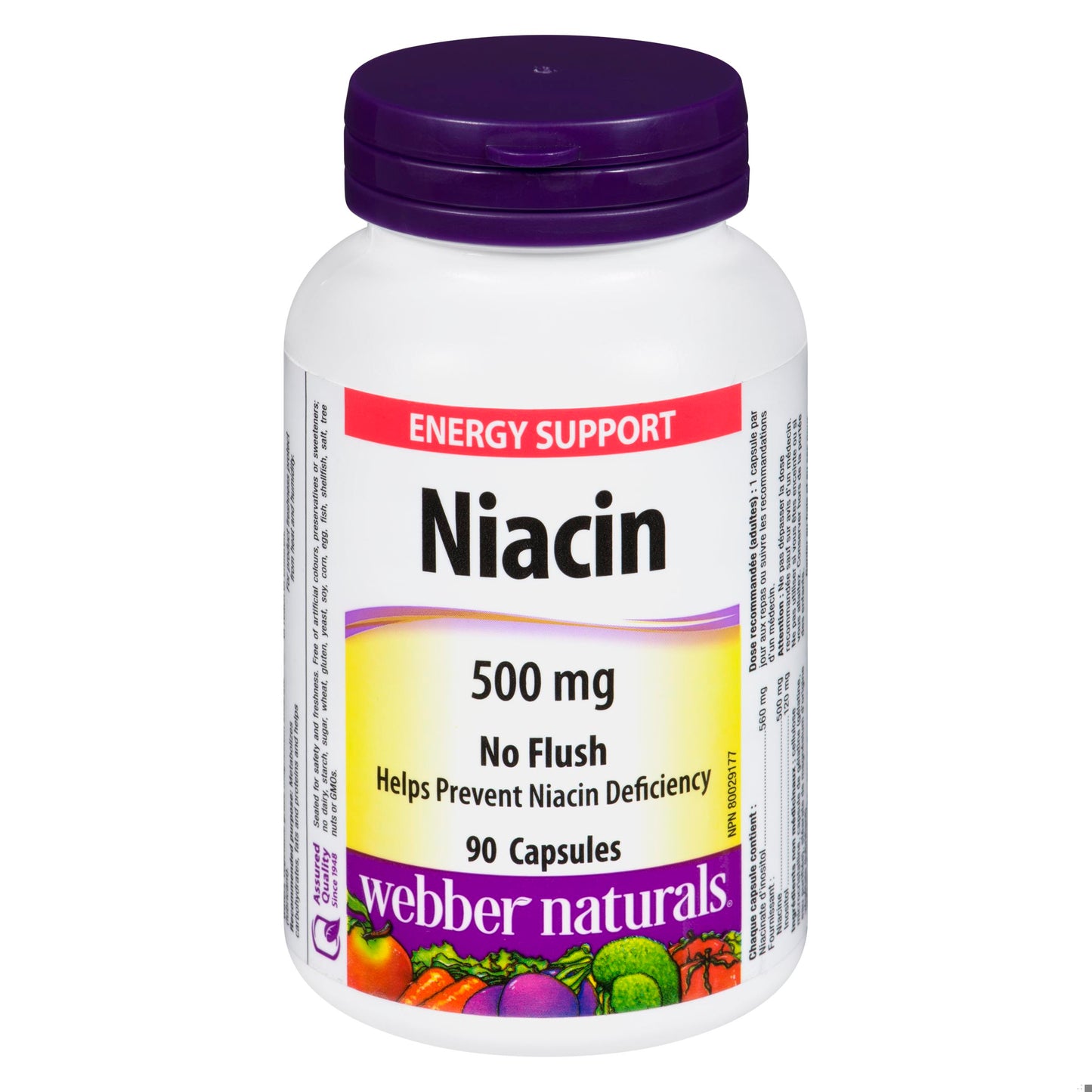 WEB NIACIN NO FLUSH 500MG CAPS 90